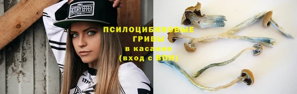a pvp Надым