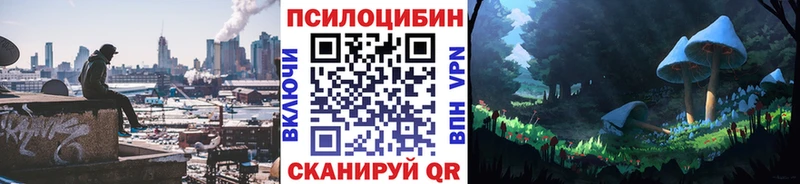 Купить где  Трубчевск  Псилоцибиновые грибы Psilocybe 